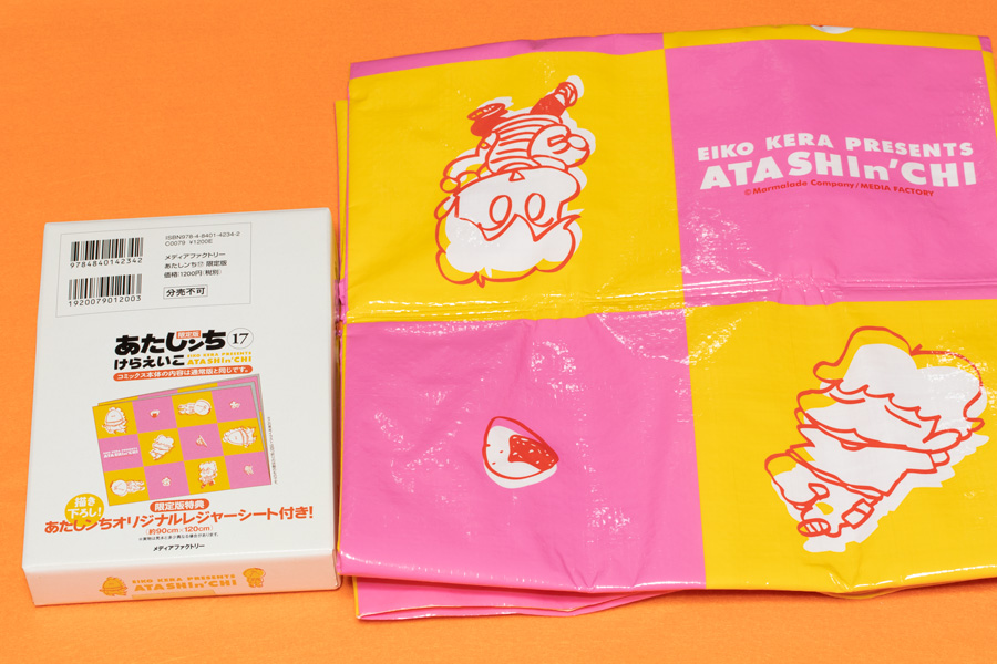 レジャーシート(17巻)